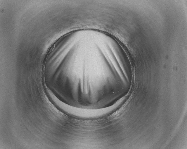 X0000088661500200706081649