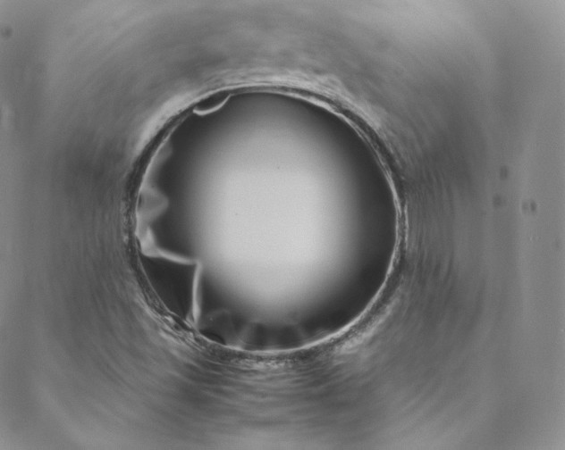 X0000088661501200706081649