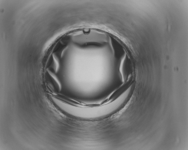 X0000088661502200706081649