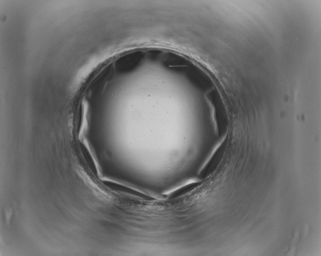 X0000088661503200706081649