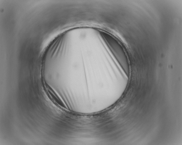 X0000088661504200706081649