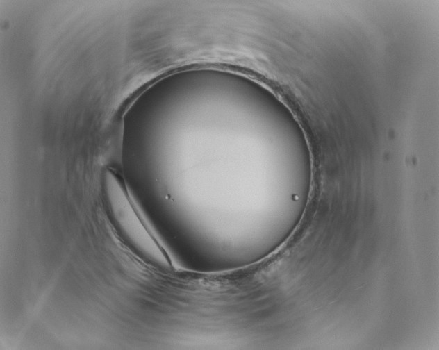 X0000088661505200706081649