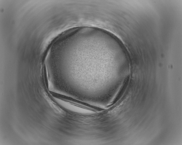 X0000088661507200706081649