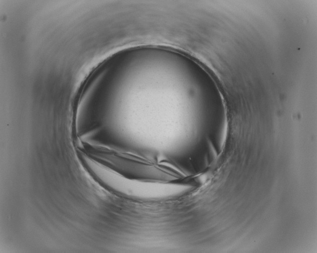 X0000088661508200706081649