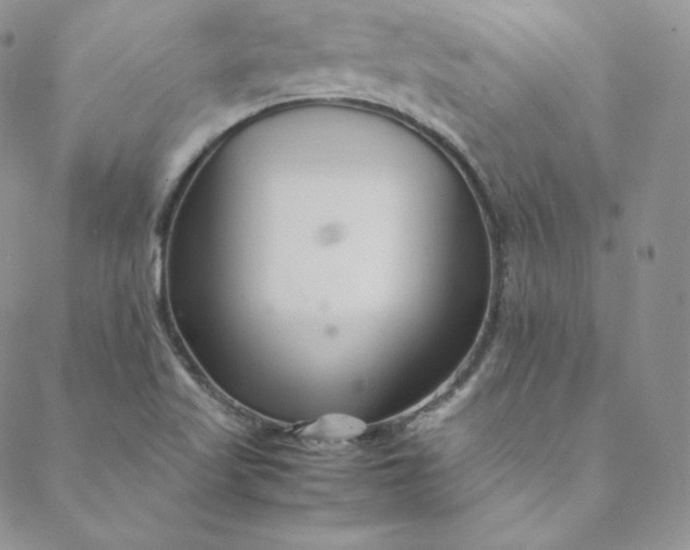 X0000088661509200706081649