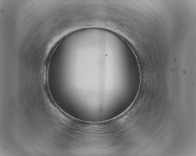 X0000088661510200706081649