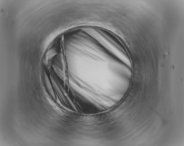 X0000088661511200706081649