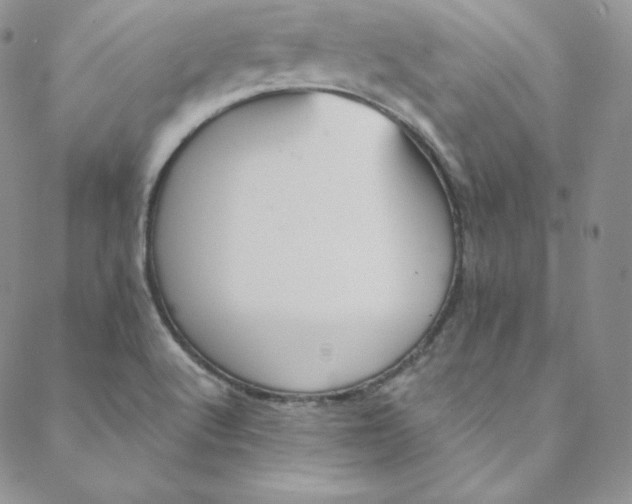 X0000088661512200706081650