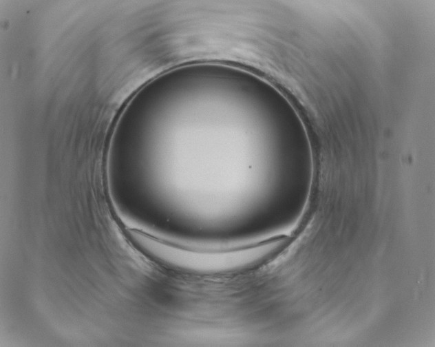 X0000088661513200706081650