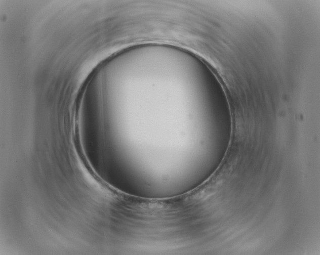 X0000088661515200706081650