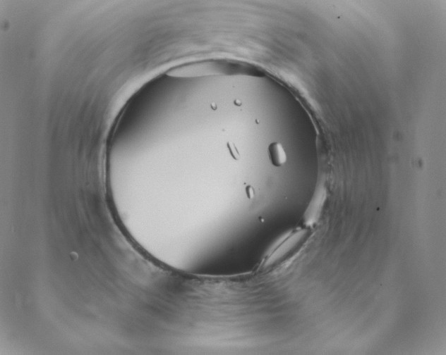 X0000088661516200706081650