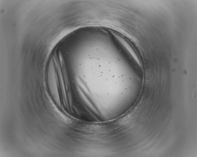 X0000088661517200706081650