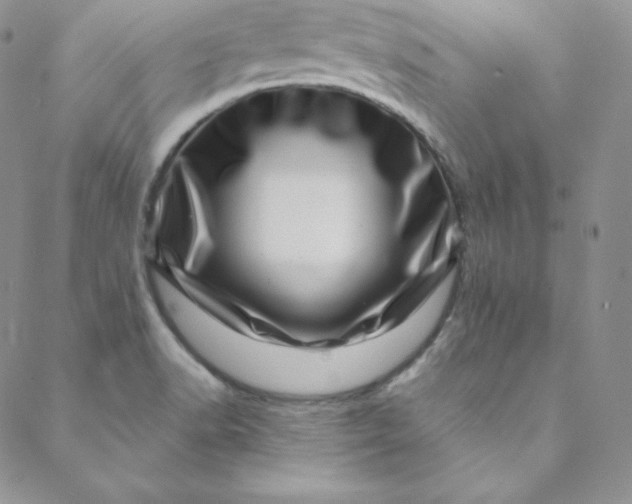 X0000088661518200706081650