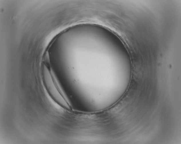 X0000088661519200706081650