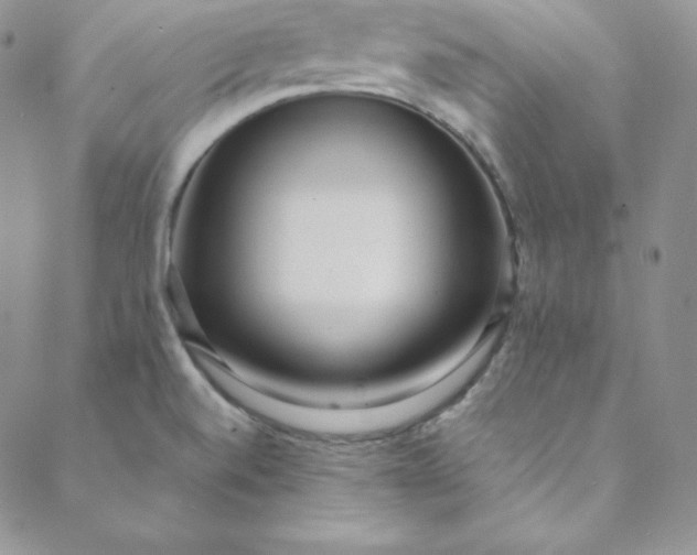 X0000088661520200706081650