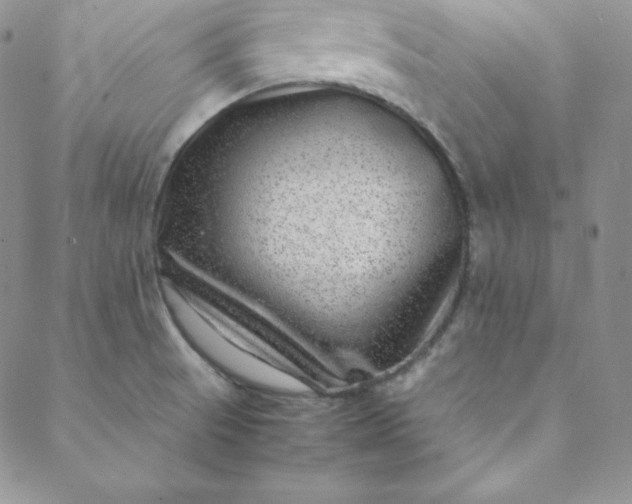 X0000088661521200706081650