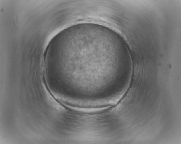 X0000088661522200706081650