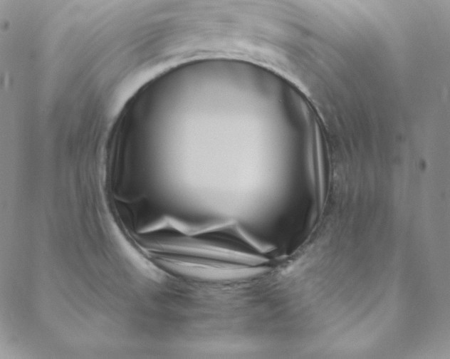 X0000088661523200706081650