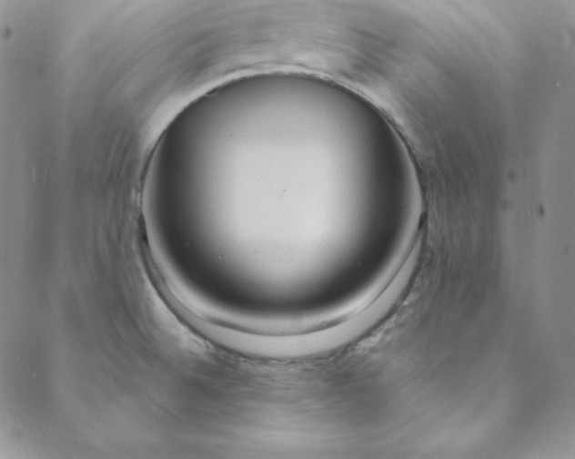 X0000088661524200706081650