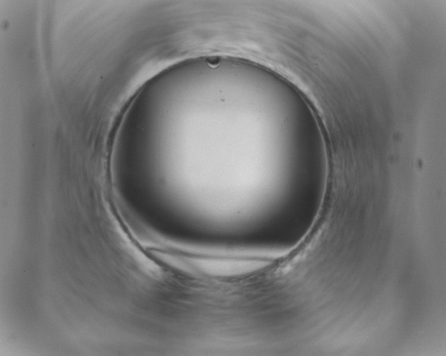 X0000088661525200706081650