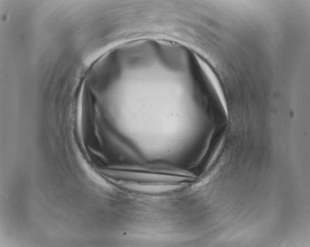 X0000088661526200706081650