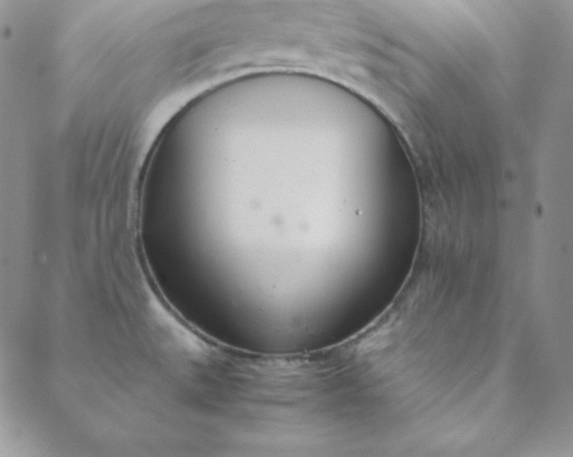 X0000088661527200706081650