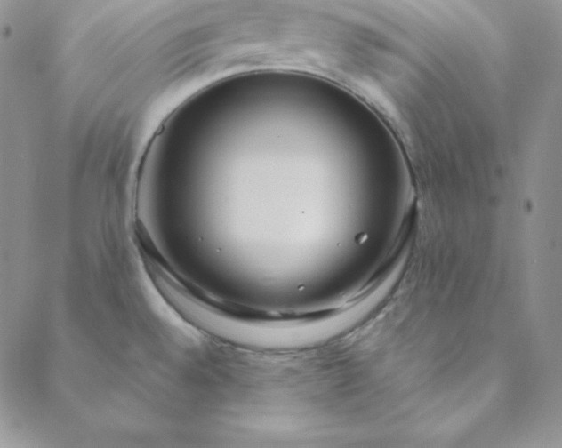 X0000088661528200706081650