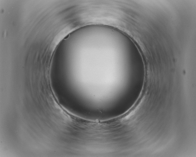 X0000088661529200706081650