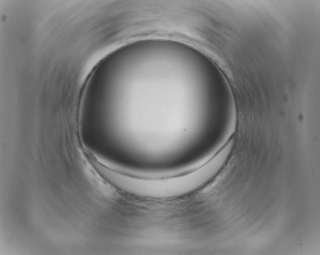 X0000088661530200706081650