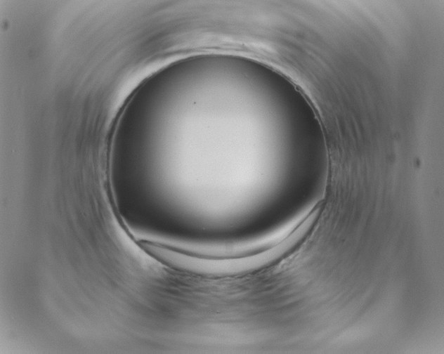 X0000088661531200706081650