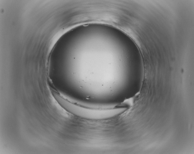 X0000088661532200706081650