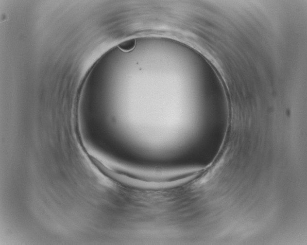 X0000088661533200706081650