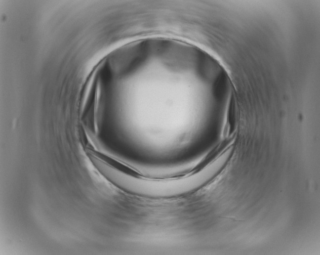 X0000088661534200706081650