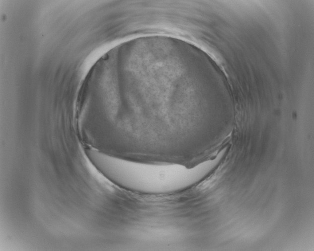 X0000088661535200706081650