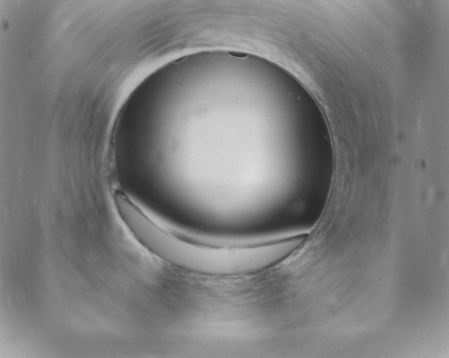 X0000088661536200706081650