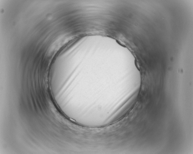X0000088660002200706152044