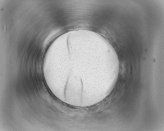 X0000088660004200706152044