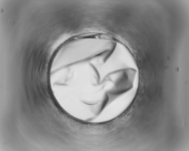 X0000088660008200706152044
