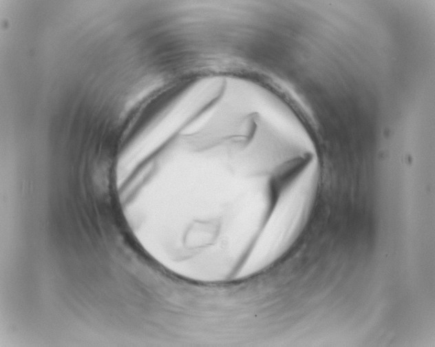 X0000088660010200706152044