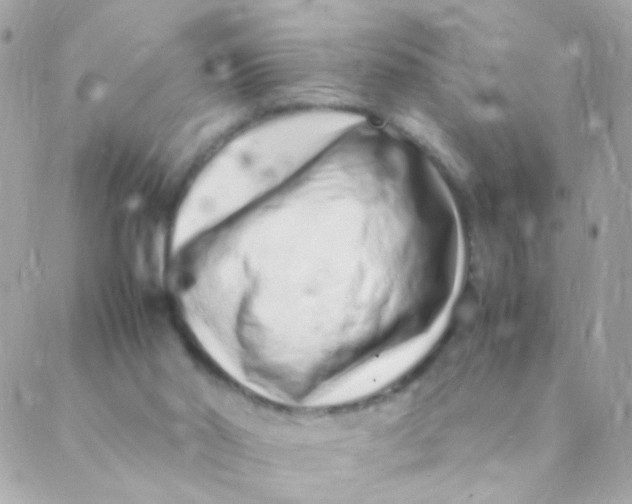 X0000088660014200706152044