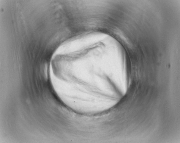 X0000088660022200706152044