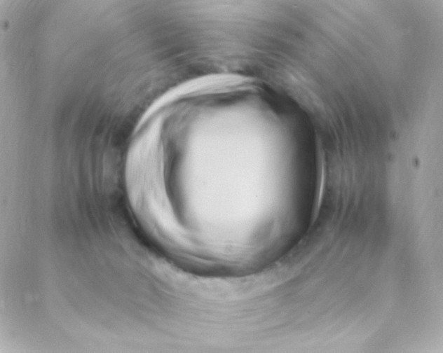 X0000088660030200706152044