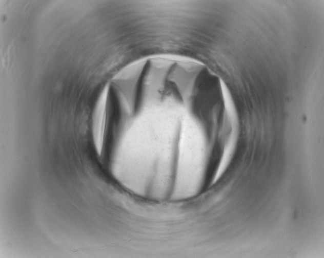X0000088660032200706152044