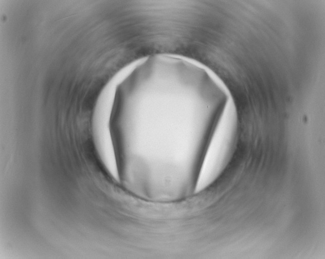 X0000088660034200706152044