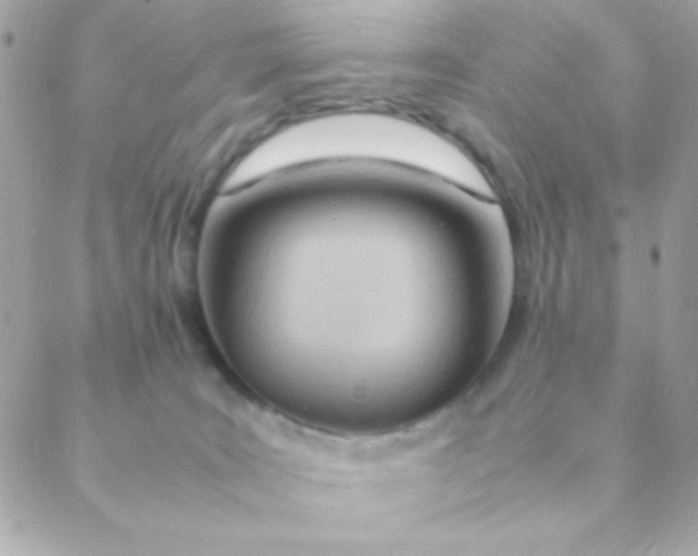 X0000088660035200706152043