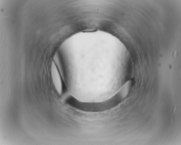 X0000088660037200706152043