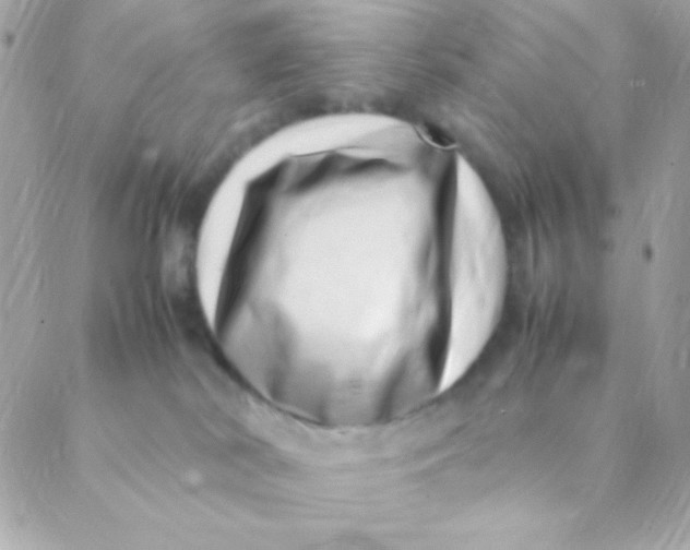 X0000088660038200706152043