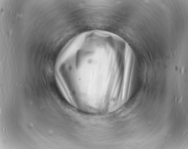 X0000088660040200706152043