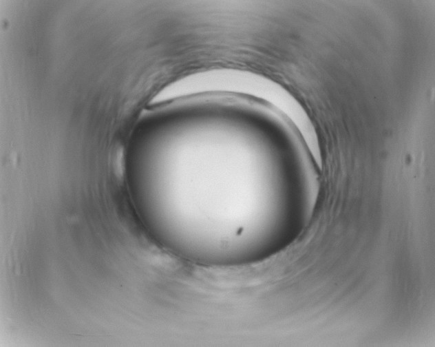 X0000088660041200706152043