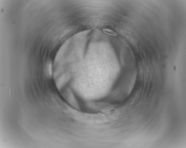 X0000088660042200706152043
